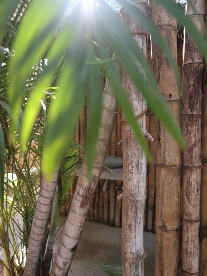 Hotel Steffi'S Mandala Hikkaduwa Exterior foto